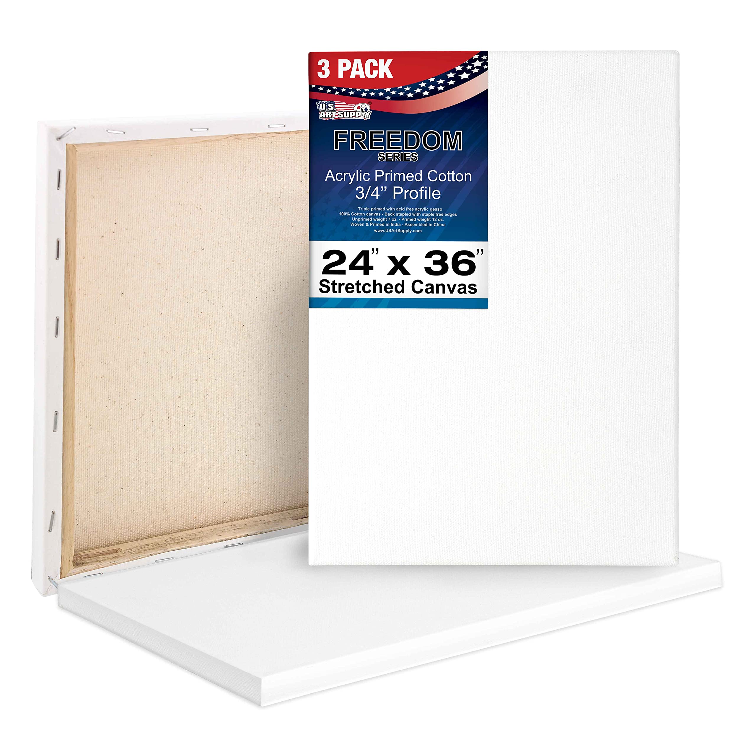 Amazon.co.jp: US Art Supply 24 x 36インチ プロ品質 無酸 ストレッチ